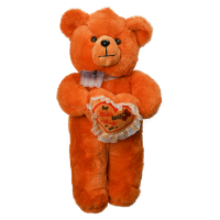 TEDDY BEAR – CODE-9-D