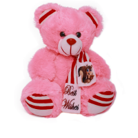 Teddy Bear (Code: P-6)